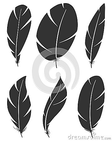 Set of different bird wing feathers. Flying quills symbols. Vector image Cartoon Illustration