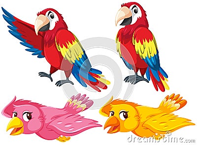 Set of different birds Vector Illustration