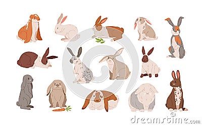 Set of different breed cute realistic rabbits vector illustration. Collection of various colorful hare sitting, lying Vector Illustration