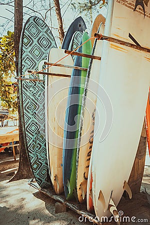 Set of different colorful surf boards in a stack Stock Photo