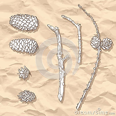 Set of different cones and branches Vector Illustration