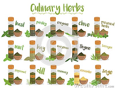 Set of 15 different culinary herbs in cartoon style. Vector Illustration Vector Illustration