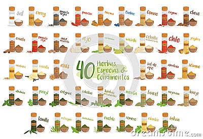 Set of 40 different culinary herbs, species and condiments in cartoon style. Spanish names. Vector Illustration Vector Illustration