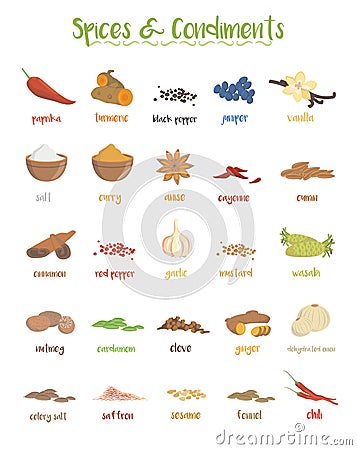 Set of 25 different culinary species and condiments in cartoon style. Vector Illustration