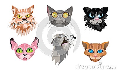 Set of different cute cat faces. Vector illustration in flat cartoon style. Vector Illustration