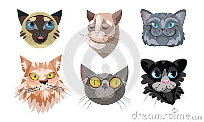 Set of different cute cat faces. Vector illustration in flat cartoon style. Vector Illustration