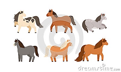 Set of different cute little horses. Collection of adorable childish pony. Flat vector cartoon illustration of beautiful Vector Illustration