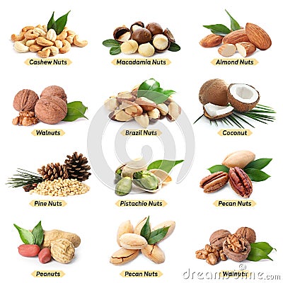 Set of different delicious organic nuts Stock Photo