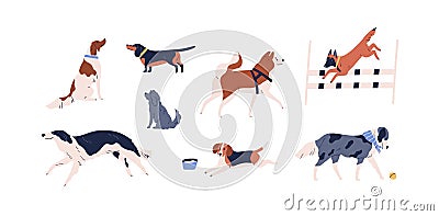 Set of different dog vector flat illustration. Collection of various doggy playing, walking, sitting and performing Vector Illustration