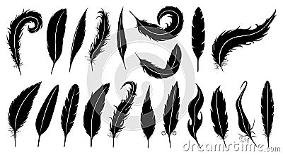 Set of different feathers Vector Illustration