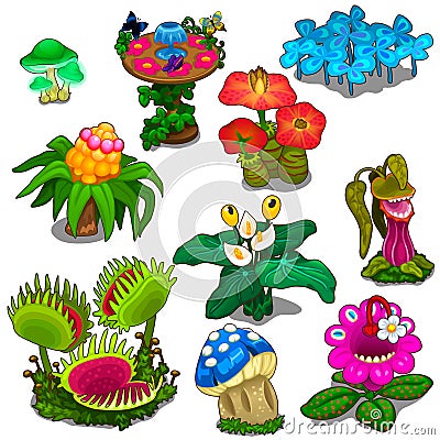 Set of different flowers, mushrooms and berries Vector Illustration