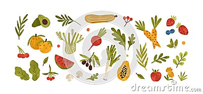 Set of different fresh vegetables, fruits, berries and salad greens. Collection of vitamin organic food. Healthy Vector Illustration