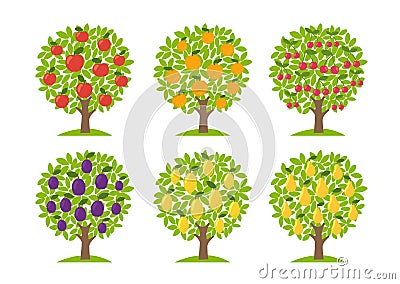 Set of different fruit trees. Lemon and orange apple cherry pear plum. Orchard garden harvest. Vector Illustration Stock Photo