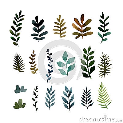 Set of different green branches of plants Cartoon Illustration