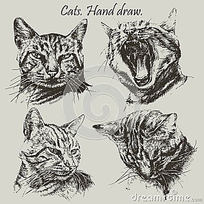 Set with different heads cats Vector Illustration