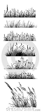 Set of grass lines. Herbal horizontal background. Vector Illustration. Vector Illustration