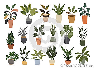 Set of different indoor potted house plants vector Vector Illustration