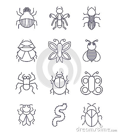Set of different insects or bugs small animals linear style Vector Illustration