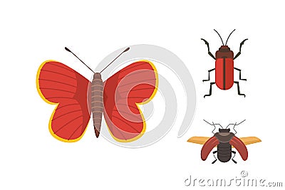 Set of different insects in cartoon style. Butterfly and beetle. Vector Illustration