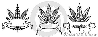 Set of different leaves of marijuana with hatching and scroll parchment banner. The object is separate from the background. Vector Illustration