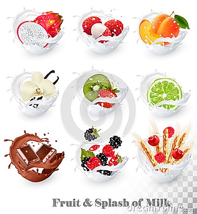 Set of different milk splashes with fruit, nuts and berries. lit Vector Illustration