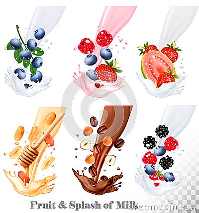 Set of different milk splashes with fruit, nuts and berries. Vector Illustration