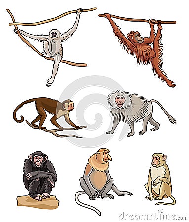 Set of different monkeys - vector illustration Vector Illustration