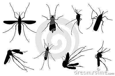 Set of different mosquitoes Vector Illustration