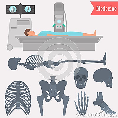 Set of different parts human skeleton icons. Man x-ray examination illustration for web and mobile design Vector Illustration