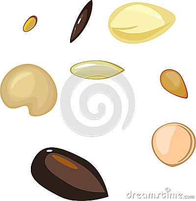 Set of different plant seeds Stock Photo