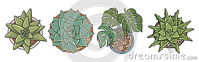 Set of different potted house plants top view. Vector Illustration