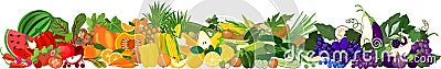 Set of different ripe fruits and vegetables in all colors of rainbow. Vegetables and fruits border Vector Illustration