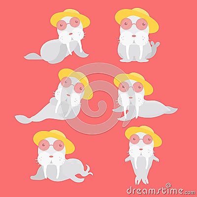 Set of different sea lions. Vector Illustration