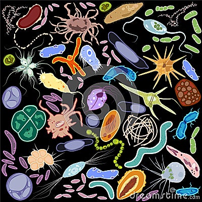 Set of different single-celled eukaryote Protozoas and prokaryote bacterias, Vector illustration Vector Illustration