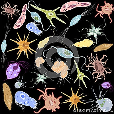 Set of different single-celled eukaryote Protozoas, Vector illustration Vector Illustration