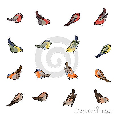 Set with different small birds - bullfinch, tit, robin and sparrow Vector Illustration