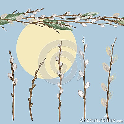 Set of different spring branches Willow and seamless texture Vector Illustration