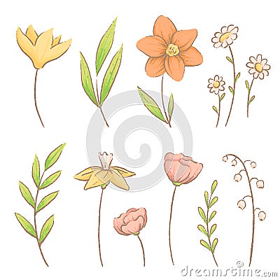 Set of different spring flowers and herbs. Crocuses, daisies and lilies of the valley. Imitation of watercolor handmade Vector Illustration