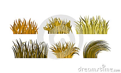 Set Of Different Tufts Of Yellow And Brown Grass Vector Illustration Vector Illustration