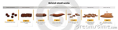 a set different types human feces, excrement Vector Illustration