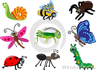 Set of different types of insects isolated on white background in flat style. Vector illustration. Cartoon Illustration