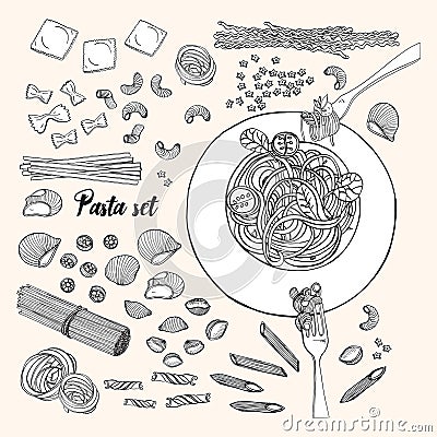 Set of different types pasta. Hand drawn collection spaghetti, macaroni, fusilli, farfalle, ravioli, tortiglioni, penne Vector Illustration