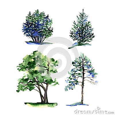 Set of different types watercolor trees. Stock Photo