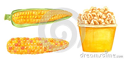 Set of different vegetables, hand drawn watercolor illustration. Corn and popcorn. Cartoon Illustration