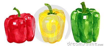Set of different peppers, hand drawn watercolor illustration. Pepper Cartoon Illustration