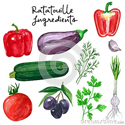 Set of different vegetables, hand drawn watercolor illustration. Salad ingredients. Cucumber, tomato, parsley, dill,pepper, olives Cartoon Illustration