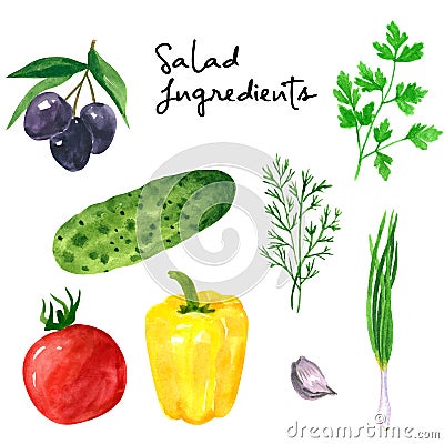 Set of different vegetables, hand drawn watercolor illustration. Salad ingredients. Cucumber, tomato, parsley, dill,pepper, olives Cartoon Illustration