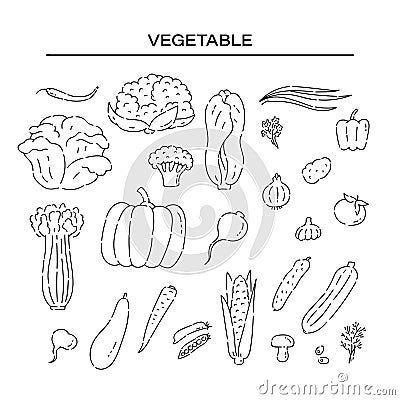 Set different vegetables line doodle icons. Varieties cabbage and other plant foods vector sketch black isolated Vector Illustration
