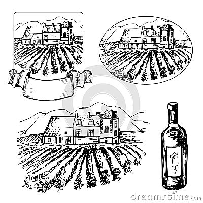 Set of different vineyard and bottle of wine Vector Illustration