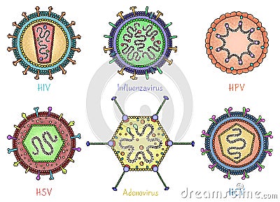 Set of different viruses in hand drawn style. Color diagrams showing the structure of viruses. Vector illustration. Vector Illustration